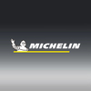 Michelin V Belt