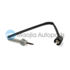 Exhaust Gas Temperature Sensor