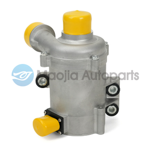 Electric Water Pump